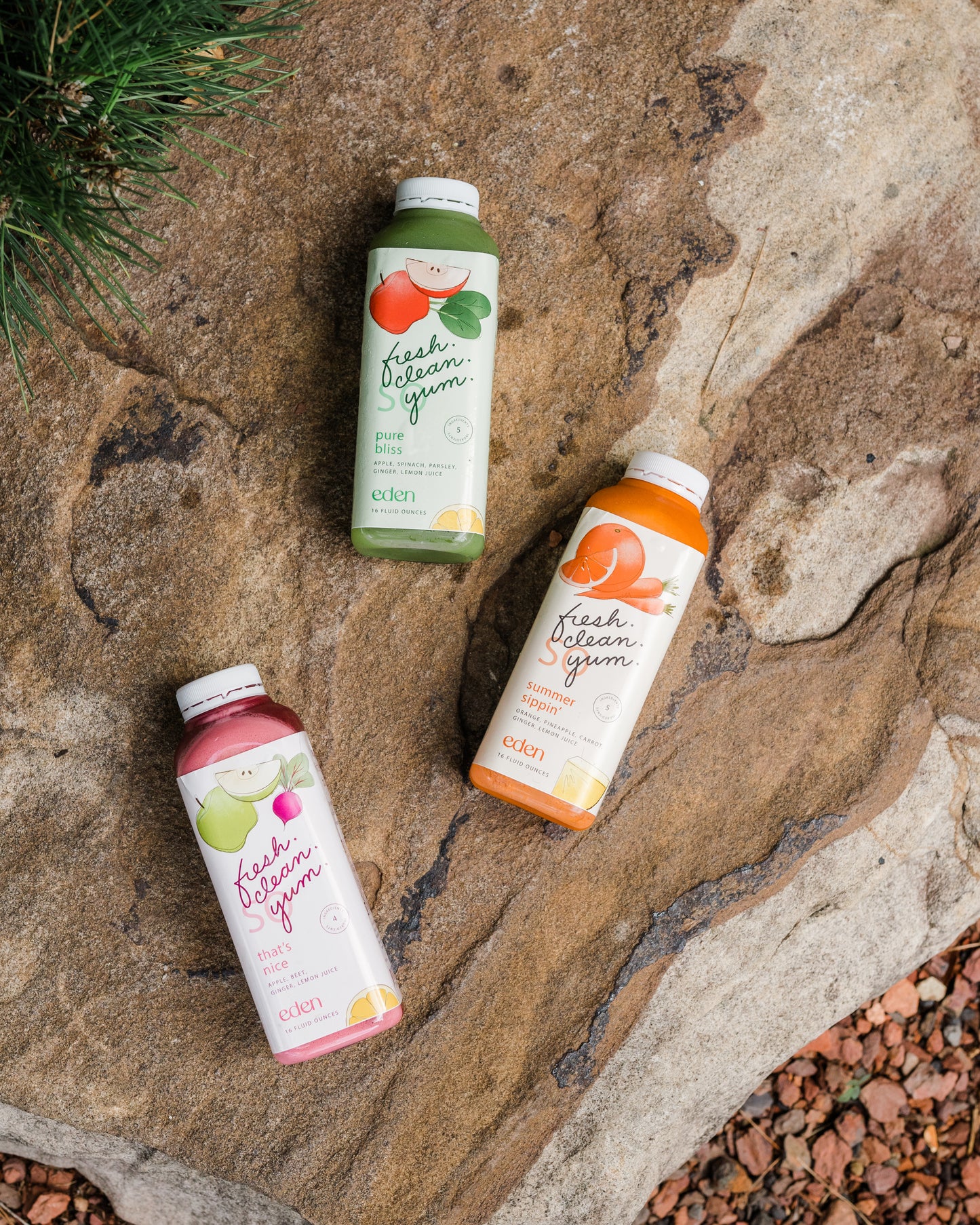 Pure Bliss Juice (6 Pack)